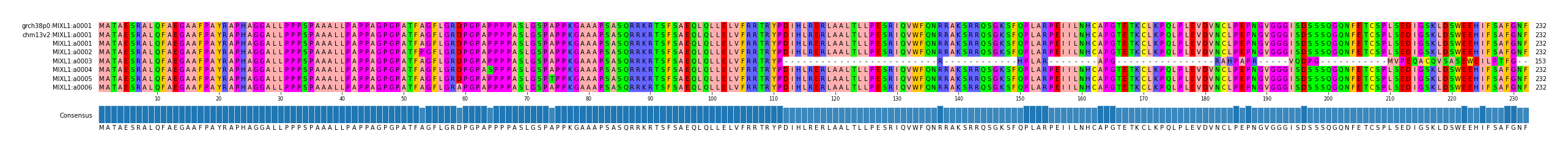 Multiple Alignments (by translate haplotype frequency)