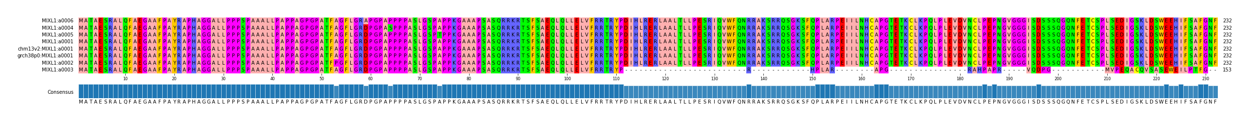 Multiple Alignments (by translate haplotype similarity)