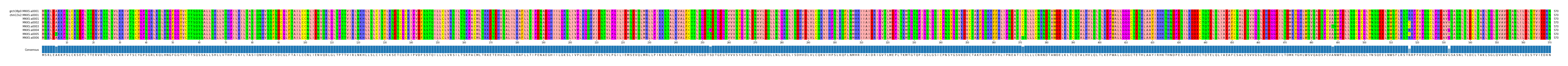 Multiple Alignments (by translate haplotype frequency)