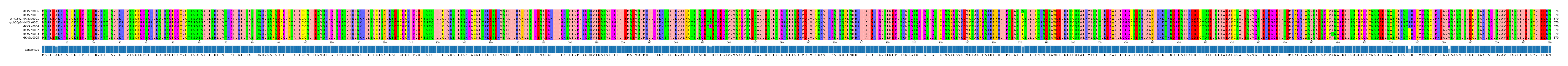 Multiple Alignments (by translate haplotype similarity)