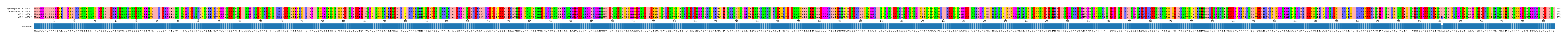Multiple Alignments (by translate haplotype similarity)