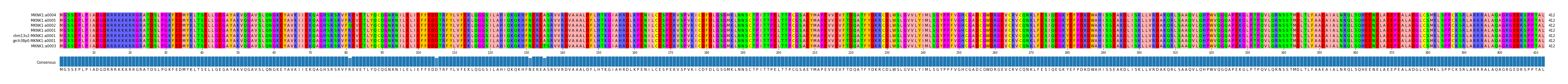 Multiple Alignments (by translate haplotype similarity)
