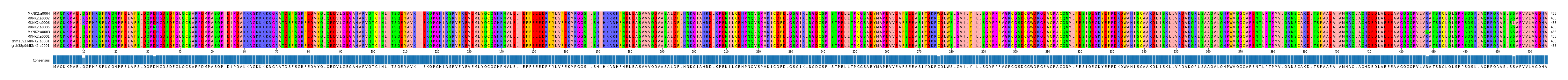 Multiple Alignments (by translate haplotype similarity)