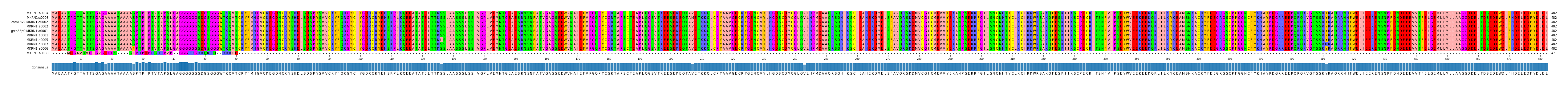 Multiple Alignments (by translate haplotype similarity)
