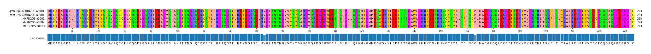 Multiple Alignments (by translate haplotype frequency)