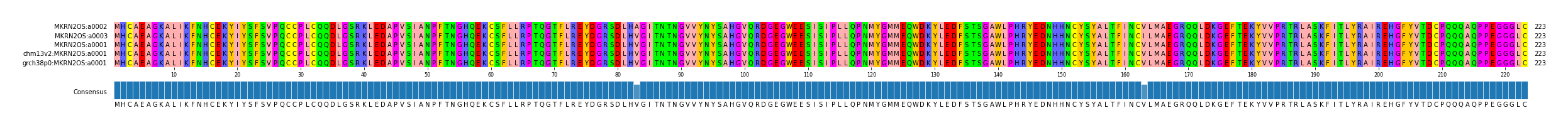 Multiple Alignments (by translate haplotype similarity)