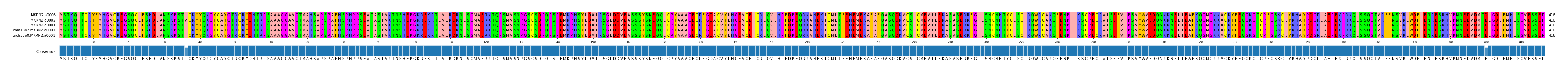 Multiple Alignments (by translate haplotype similarity)