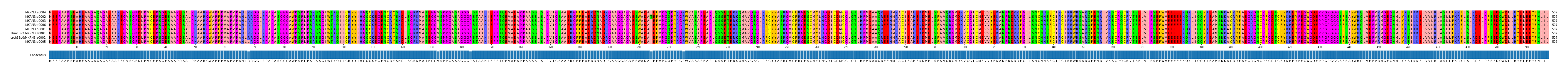 Multiple Alignments (by translate haplotype similarity)
