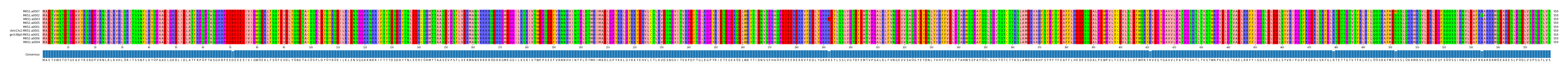 Multiple Alignments (by translate haplotype similarity)