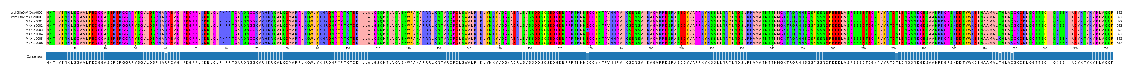 Multiple Alignments (by translate haplotype frequency)