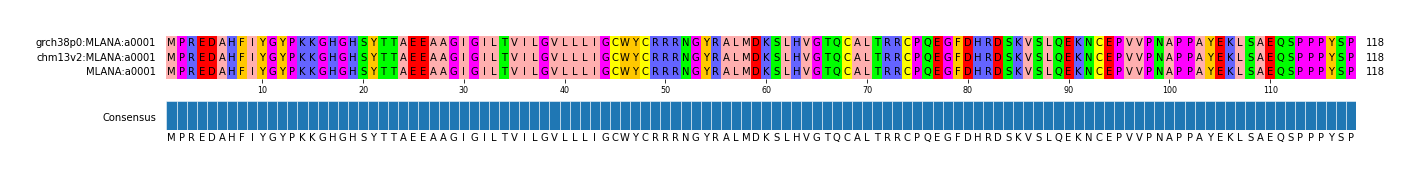 Multiple Alignments (by translate haplotype similarity)