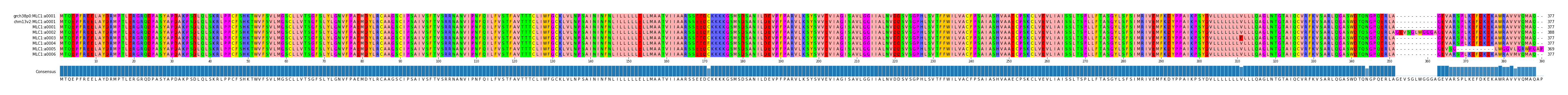 Multiple Alignments (by translate haplotype frequency)