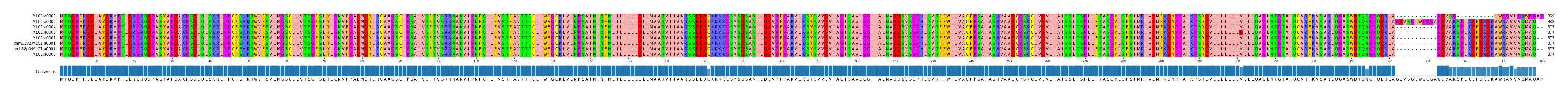 Multiple Alignments (by translate haplotype similarity)