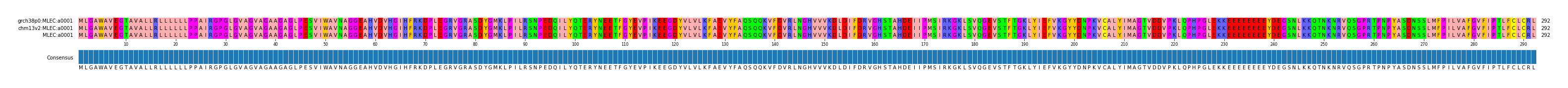 Multiple Alignments (by translate haplotype similarity)