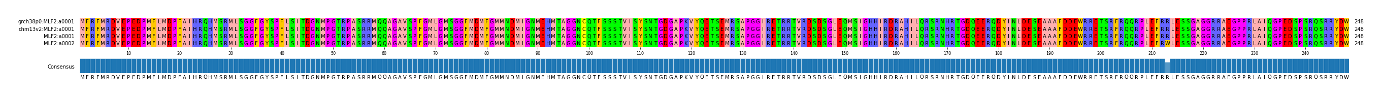 Multiple Alignments (by translate haplotype similarity)