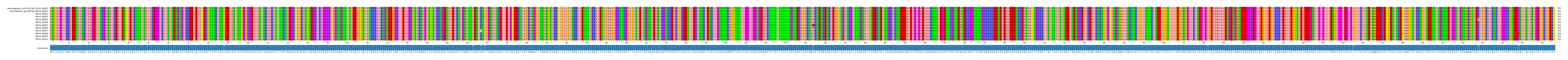 Multiple Alignments (by translate haplotype frequency)