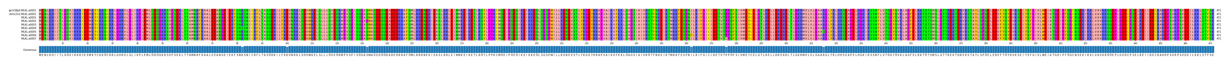 Multiple Alignments (by translate haplotype frequency)