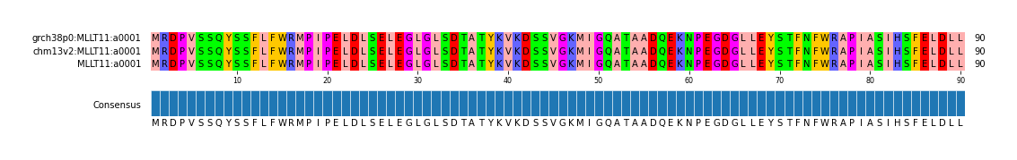Multiple Alignments (by translate haplotype similarity)