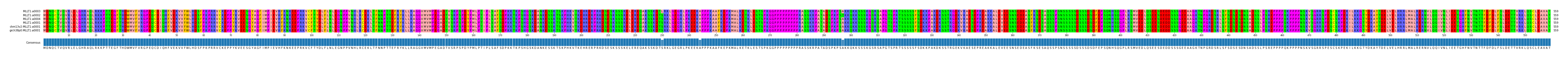 Multiple Alignments (by translate haplotype similarity)