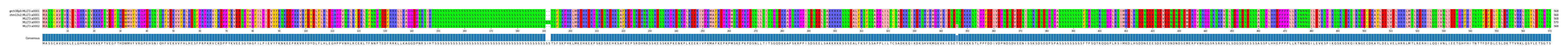 Multiple Alignments (by translate haplotype similarity)