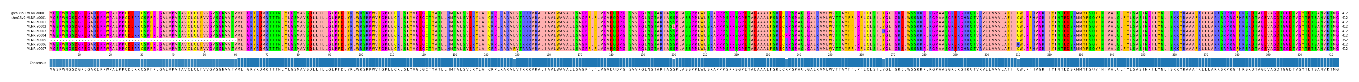 Multiple Alignments (by translate haplotype frequency)