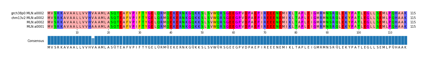 Multiple Alignments (by translate haplotype similarity)