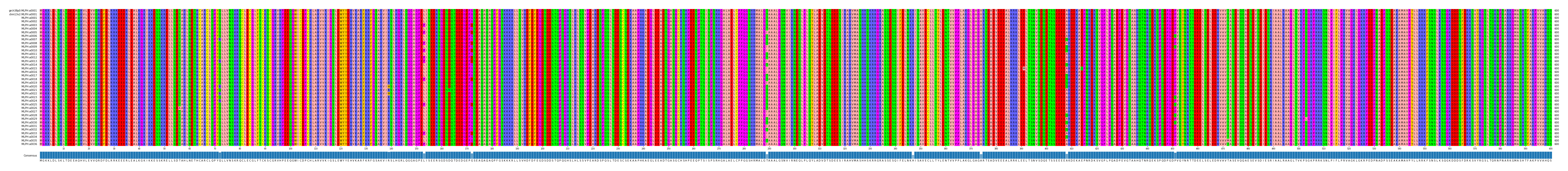 Multiple Alignments (by translate haplotype frequency)