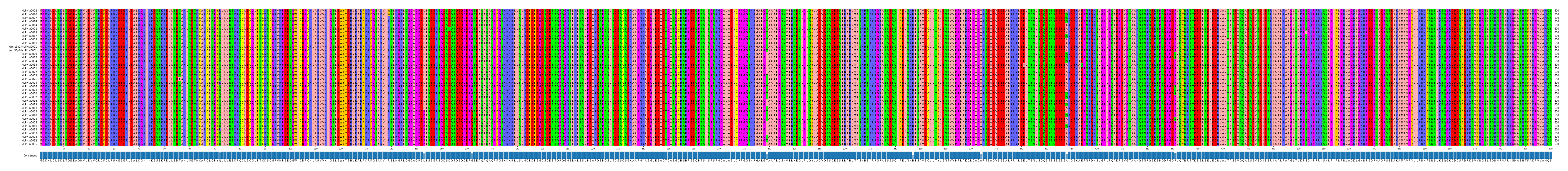 Multiple Alignments (by translate haplotype similarity)