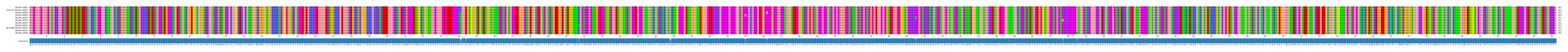 Multiple Alignments (by translate haplotype similarity)