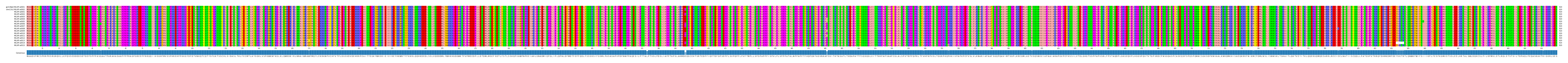 Multiple Alignments (by translate haplotype frequency)