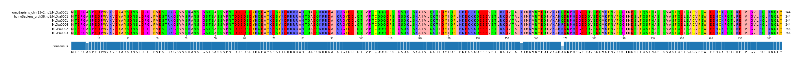 Multiple Alignments (by translate haplotype similarity)