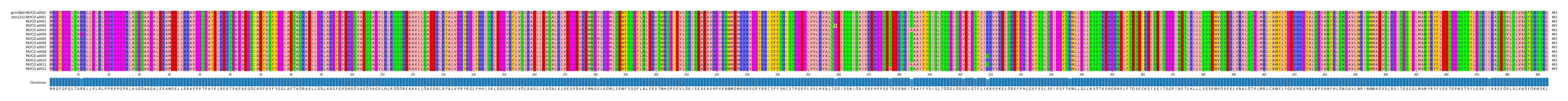 Multiple Alignments (by translate haplotype frequency)