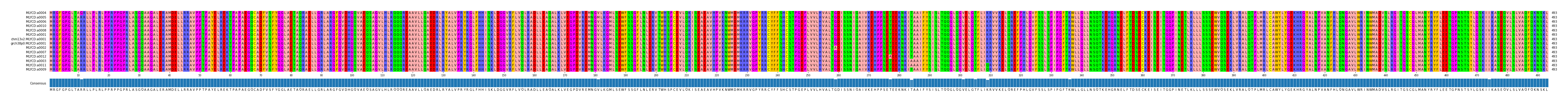 Multiple Alignments (by translate haplotype similarity)