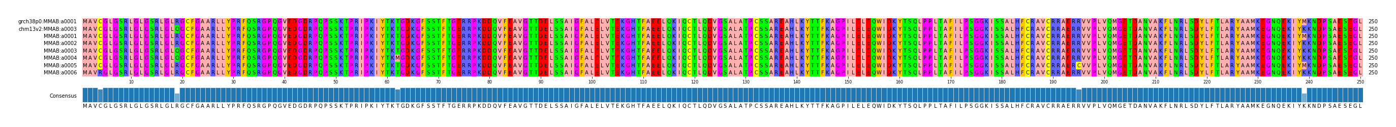 Multiple Alignments (by translate haplotype frequency)