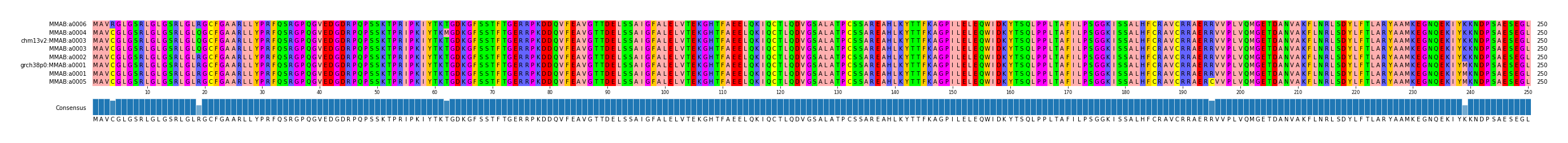 Multiple Alignments (by translate haplotype similarity)