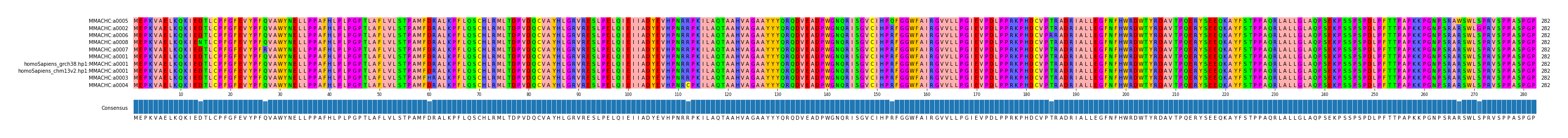 Multiple Alignments (by translate haplotype similarity)