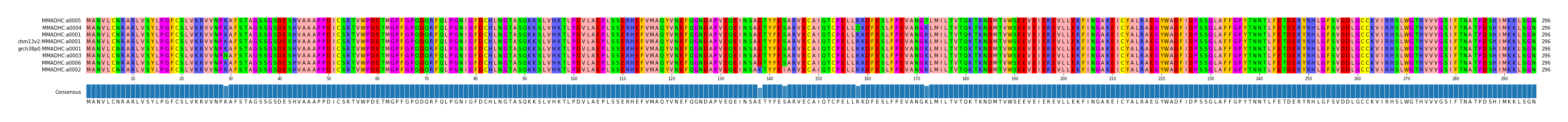Multiple Alignments (by translate haplotype similarity)