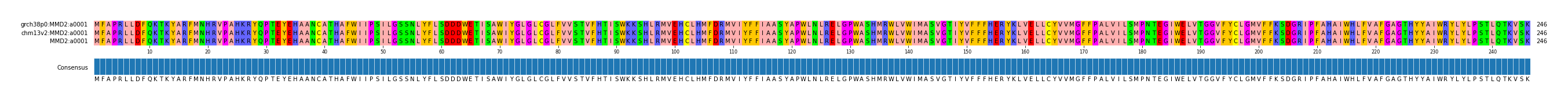 Multiple Alignments (by translate haplotype frequency)