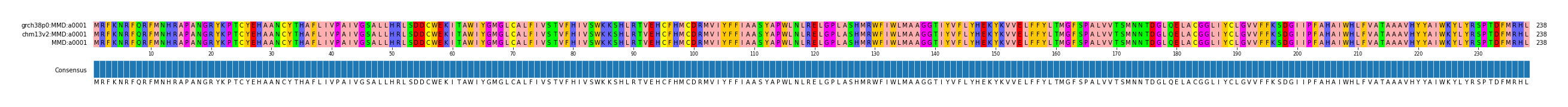 Multiple Alignments (by translate haplotype similarity)