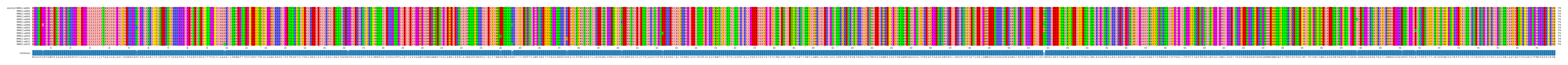 Multiple Alignments (by translate haplotype frequency)