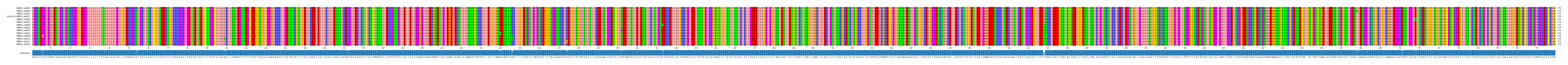 Multiple Alignments (by translate haplotype similarity)