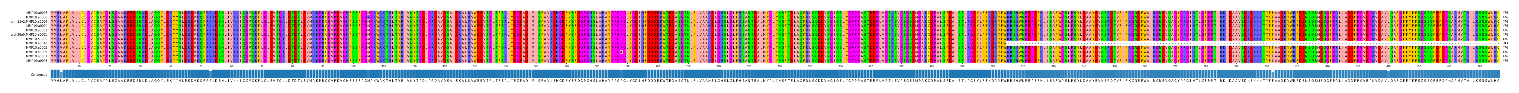 Multiple Alignments (by translate haplotype similarity)