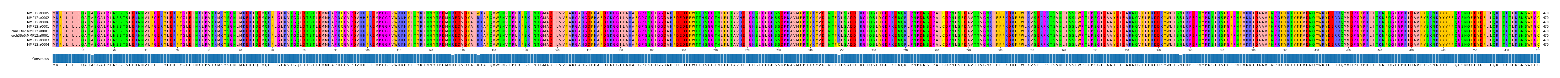 Multiple Alignments (by translate haplotype similarity)