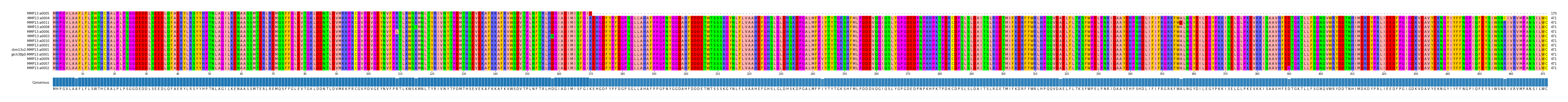 Multiple Alignments (by translate haplotype similarity)