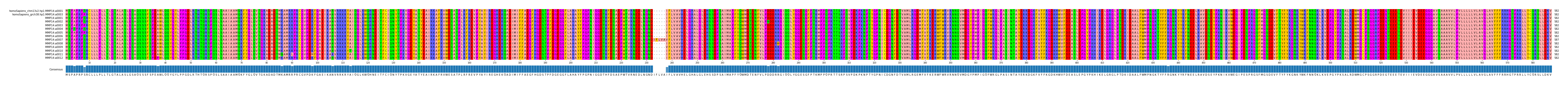 Multiple Alignments (by translate haplotype frequency)