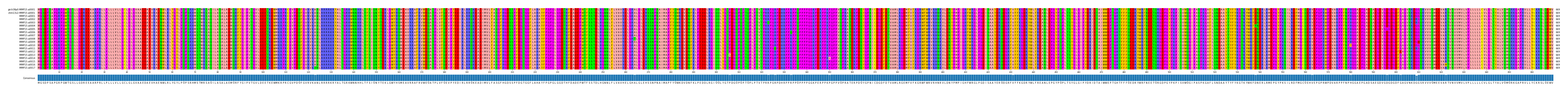 Multiple Alignments (by translate haplotype frequency)