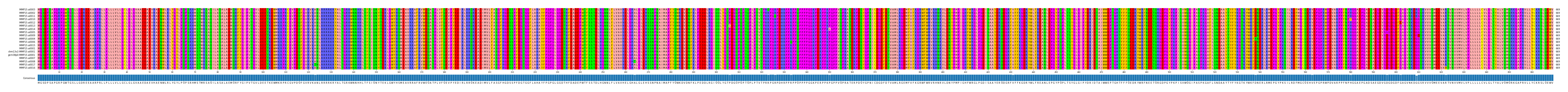 Multiple Alignments (by translate haplotype similarity)