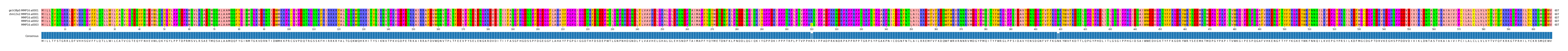 Multiple Alignments (by translate haplotype frequency)