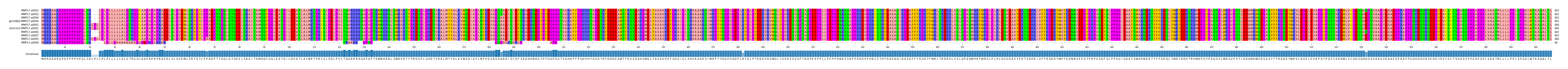 Multiple Alignments (by translate haplotype similarity)