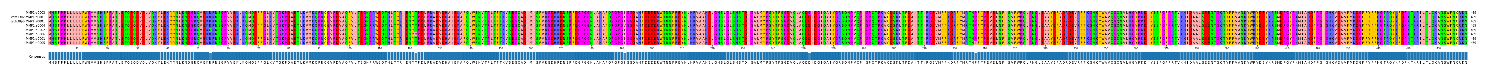 Multiple Alignments (by translate haplotype similarity)